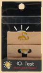 IQ-Test Mini Stern